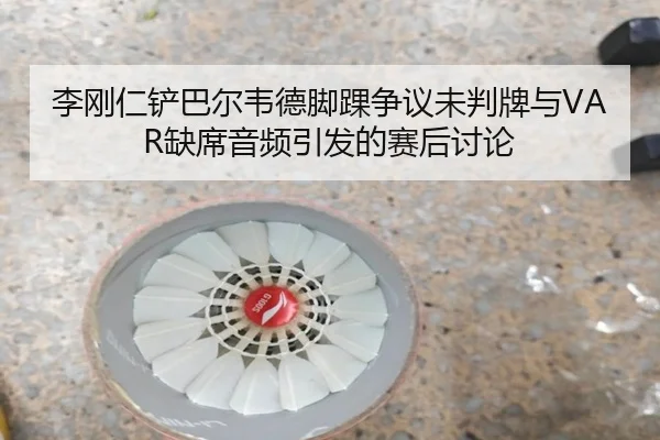 李刚仁铲巴尔韦德脚踝争议未判牌与VAR缺席音频引发的赛后讨论